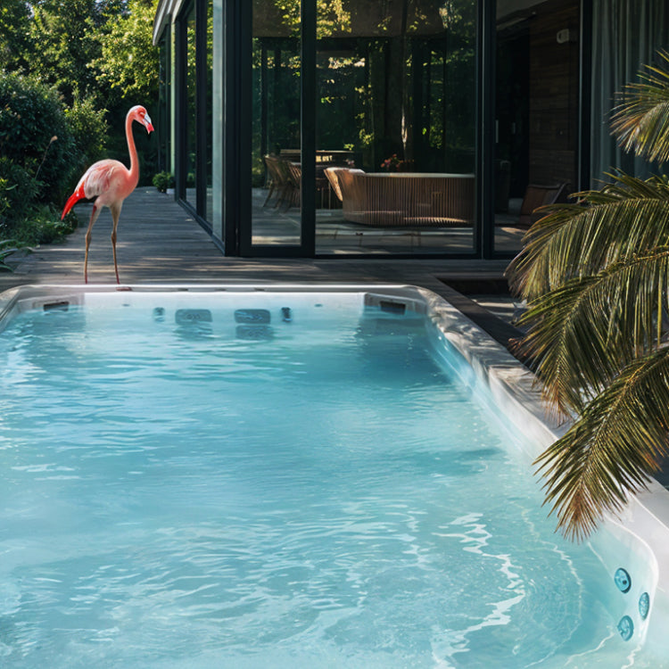 Ein rosa Flamingo erkundet neugierig den neuen Swimmingpool im Garten einer Luxusvilla.